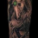 Tattoos - Black and Grey Realism Horse  - 111360